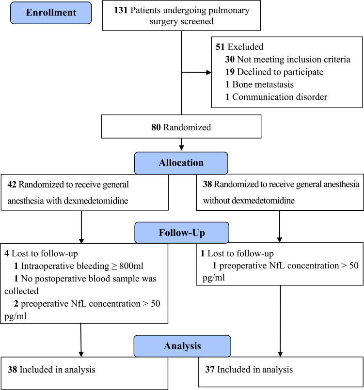 Effect of Dexmedetomidine on Postoperative Plasma Neurofilament Light Chain in Elderly Patients Undergoing Thoracoscopic Surgery: A Prospective, Randomized Controlled Trial.