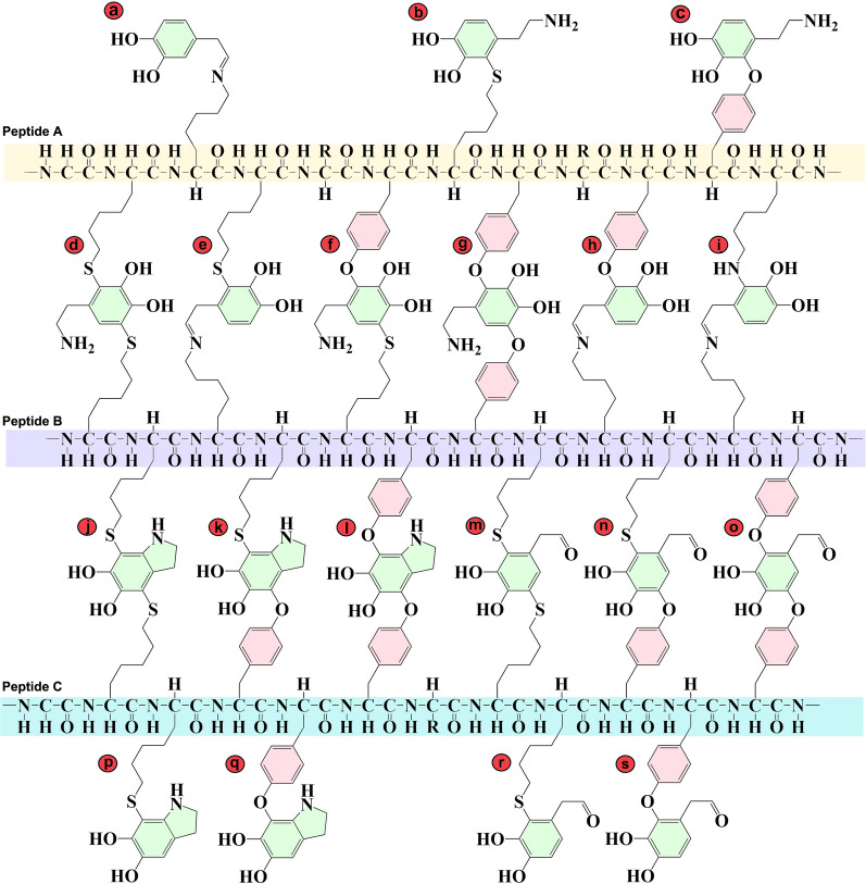 Role of dopamine in the pathophysiology of Parkinson's disease.