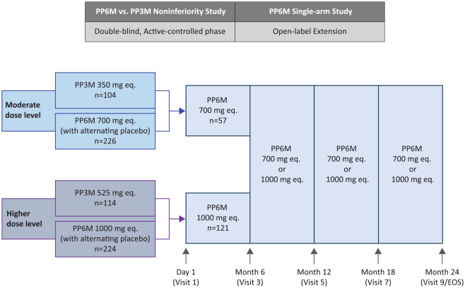 Comparative effectiveness study of paliperidone palmitate 6-month with a real-world external comparator arm of paliperidone palmitate 1-month or 3-month in patients with schizophrenia.