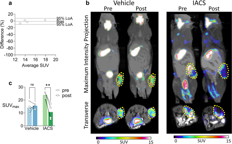 Positron emission tomography imaging of the sodium iodide symporter senses real-time energy stress in vivo.