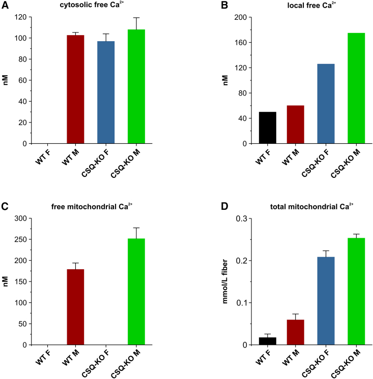 Cytosolic Ca<sup>2+</sup> gradients and mitochondrial Ca<sup>2+</sup> uptake in resting muscle fibers: A model analysis.