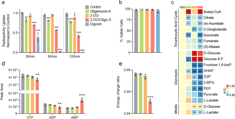 Positron emission tomography imaging of the sodium iodide symporter senses real-time energy stress in vivo.