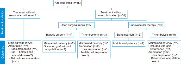 Early Diagnosis and Intervention Are Needed for a Reasonable Prognosis of Thromboangiitis Obliterans.