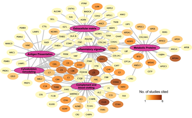 Systematic review of type 1 diabetes biomarkers reveals regulation in circulating proteins related to complement, lipid metabolism, and immune response.