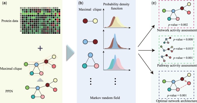 ActivePPI: quantifying protein-protein interaction network activity with Markov random fields.