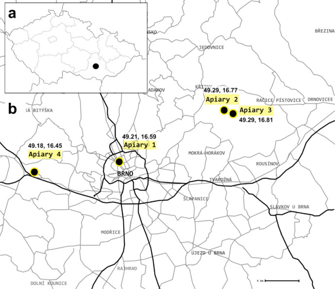 Can the examination of different types of hive samples be a non-invasive method for detection and quantification of viruses in honey bee (<i>Apis mellifera</i> L.) colonies?