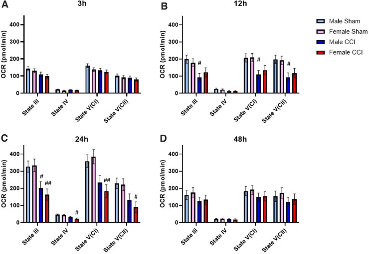 Characterizing Sex Differences in Mitochondrial Dysfunction After Severe Traumatic Brain Injury in Mice.