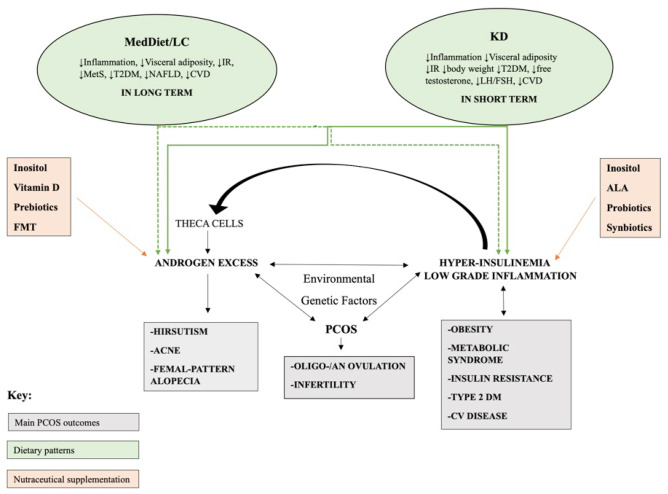 Pathophysiology and Nutritional Approaches in Polycystic Ovary Syndrome (PCOS): A Comprehensive Review.