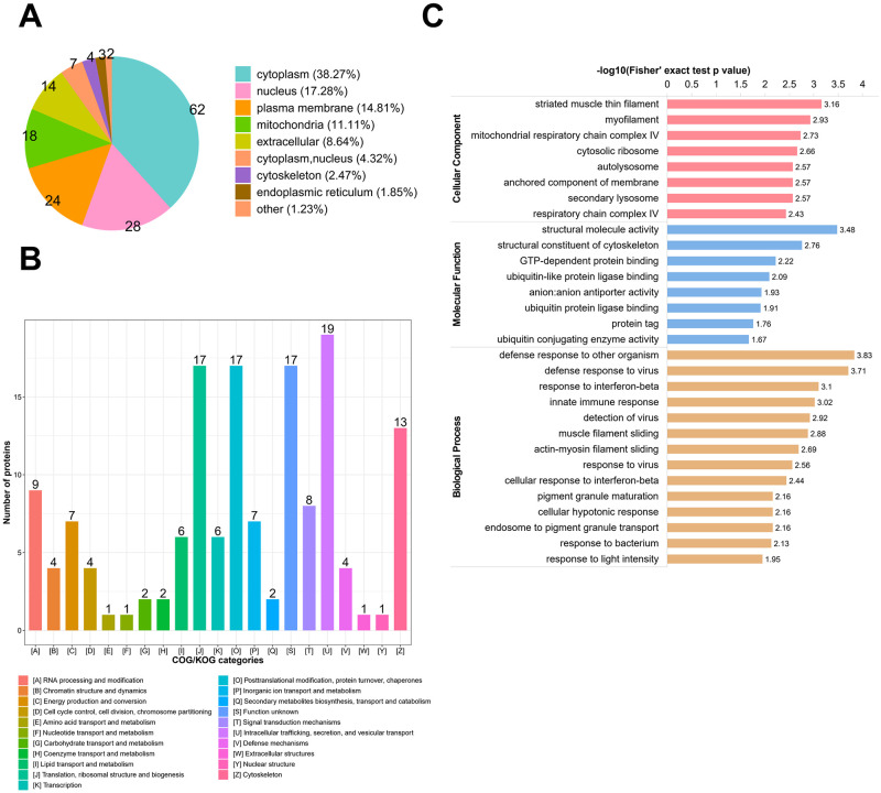 Label-free quantitative proteomic analyses of mouse astrocytes provides insight into the host response mechanism at different developmental stages of Toxoplasma gondii.