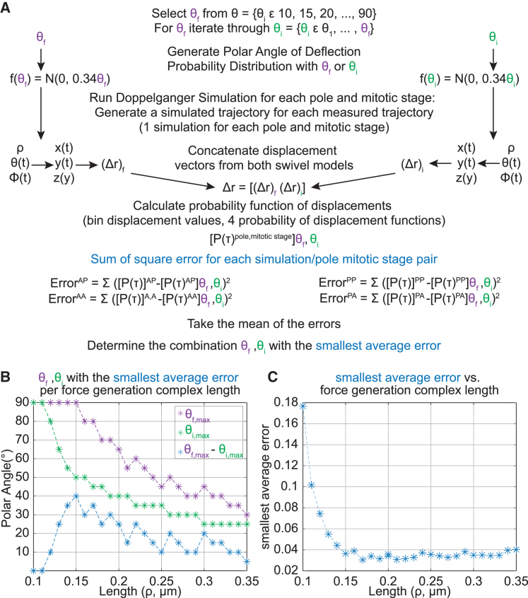 Model-based trajectory classification of anchored molecular motor-biopolymer interactions.