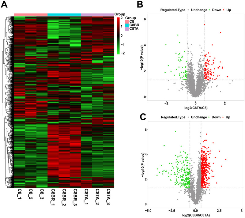 Label-free quantitative proteomic analyses of mouse astrocytes provides insight into the host response mechanism at different developmental stages of Toxoplasma gondii.