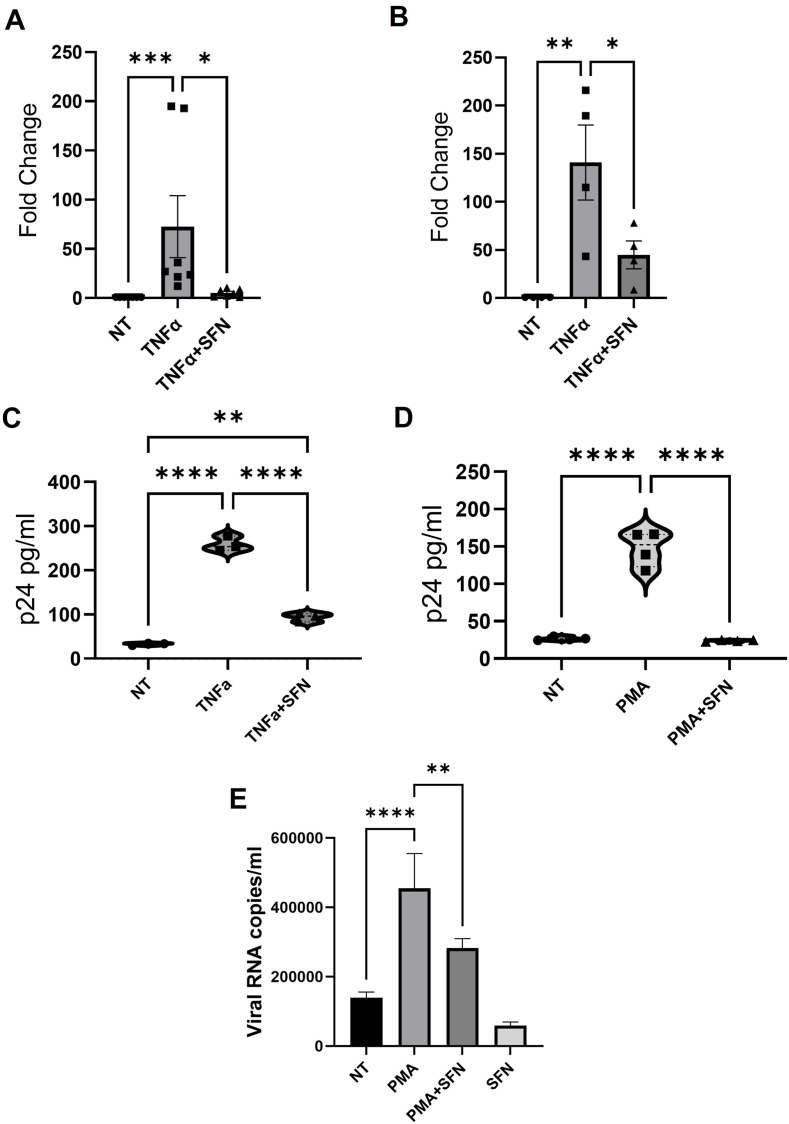 Sulforaphane prevents the reactivation of HIV-1 by suppressing NFκB signaling