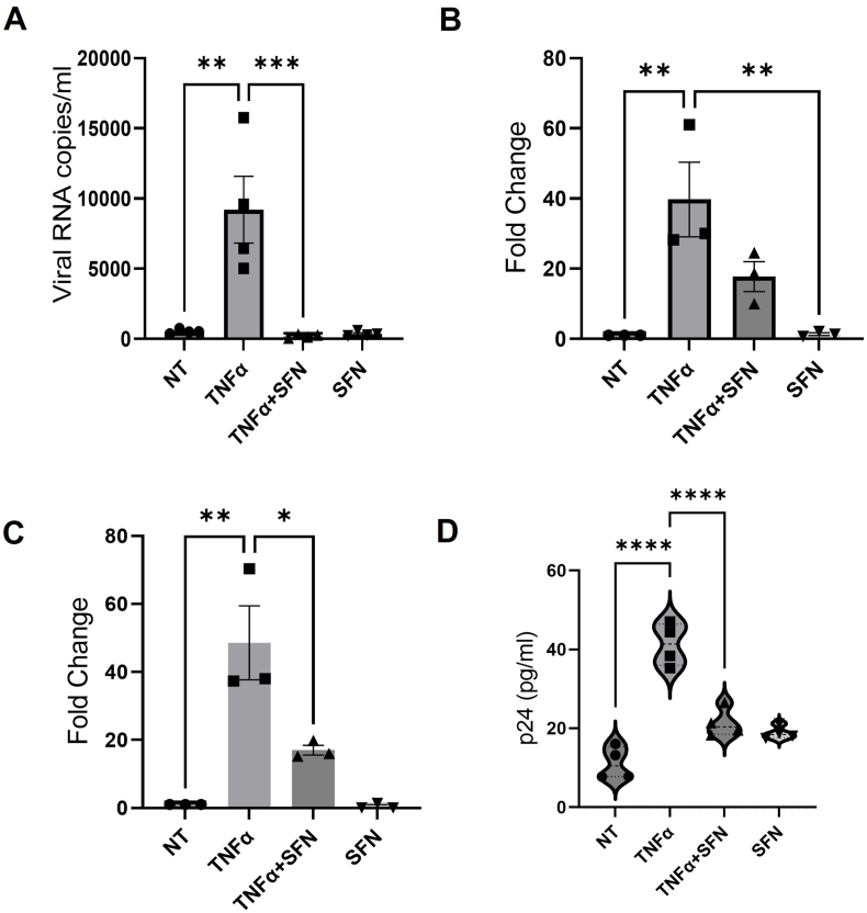 Sulforaphane prevents the reactivation of HIV-1 by suppressing NFκB signaling