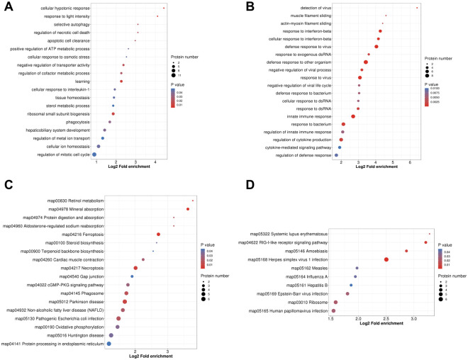 Label-free quantitative proteomic analyses of mouse astrocytes provides insight into the host response mechanism at different developmental stages of Toxoplasma gondii.