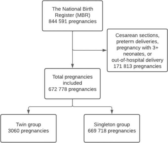 Trends in the use for labor analgesia in twin pregnancies: A nationwide register-based analysis in Finland