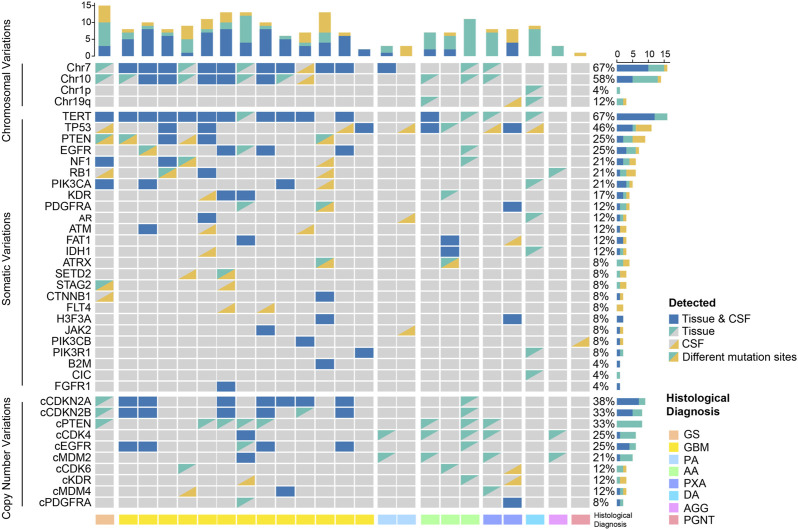 Concordance analysis of cerebrospinal fluid with the tumor tissue for integrated diagnosis in gliomas based on next-generation sequencing.