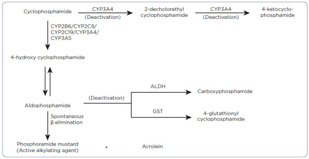 Post-Transplant Cyclophosphamide for the Prevention of Graft-vs.-Host Disease in Allogeneic Hematopoietic Cell Transplantation: A Guide to Management for the Advanced Practitioner.