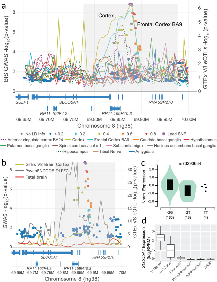 SLCO5A1 and synaptic assembly genes contribute to impulsivity in juvenile myoclonic epilepsy.