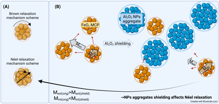 Magneto-responsive hyaluronan hydrogel for hyperthermia and bioprinting: Magnetic, rheological properties and biocompatibility.