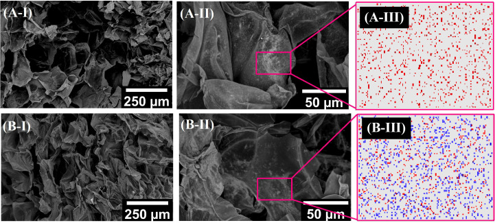 Magneto-responsive hyaluronan hydrogel for hyperthermia and bioprinting: Magnetic, rheological properties and biocompatibility.