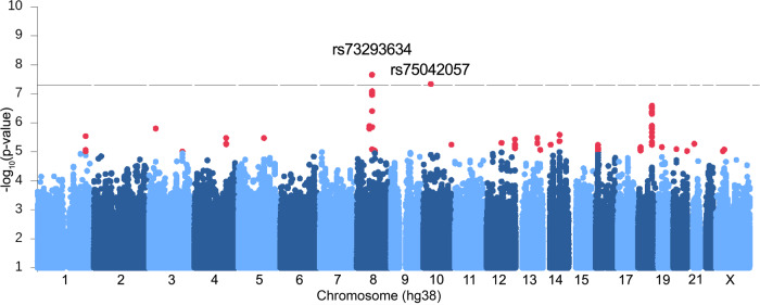 SLCO5A1 and synaptic assembly genes contribute to impulsivity in juvenile myoclonic epilepsy.