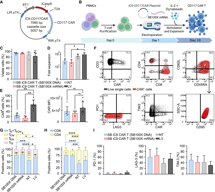 Anti-CD117 CAR T cells incorporating a safety switch eradicate human acute myeloid leukemia and hematopoietic stem cells.