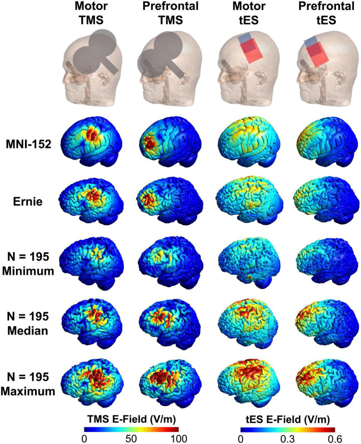 Template MRI scans reliably approximate individual and group-level tES and TMS electric fields induced in motor and prefrontal circuits.