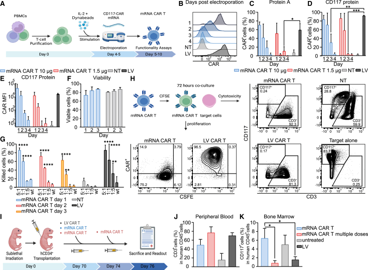 Anti-CD117 CAR T cells incorporating a safety switch eradicate human acute myeloid leukemia and hematopoietic stem cells.