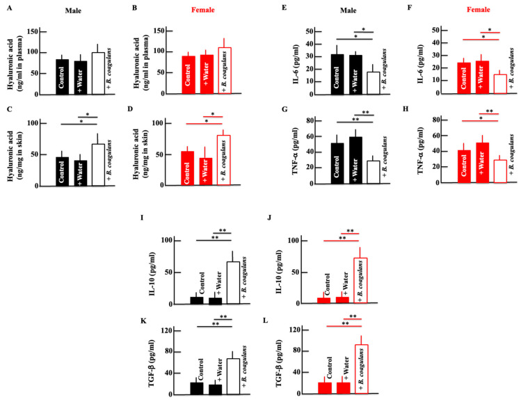 The Effect of <i>Bacillus coagulans</i> Induced Interactions among Intestinal Bacteria, Metabolites, and Inflammatory Molecules in Improving Natural Skin Aging.