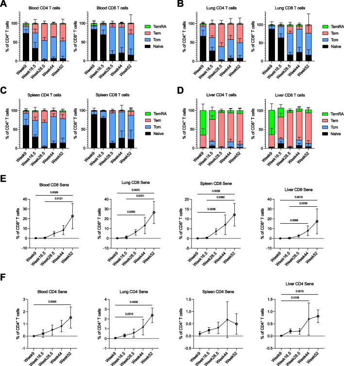 Towards a better preclinical cancer model - human immune aging in humanized mice.