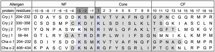 Contributions of the N-terminal flanking residues of an antigenic peptide from the Japanese cedar pollen allergen Cry j 1 to the T-cell activation by HLA-DP5.