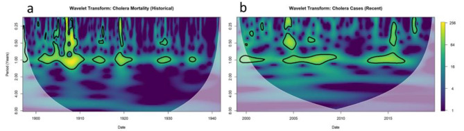 The changing relationship between Cholera and interannual climate variables in Kolkata over the past century.