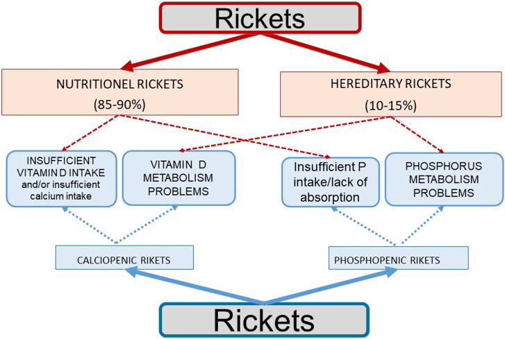 Approach to Rickets: Is It Calciopenic or Phosphopenic?