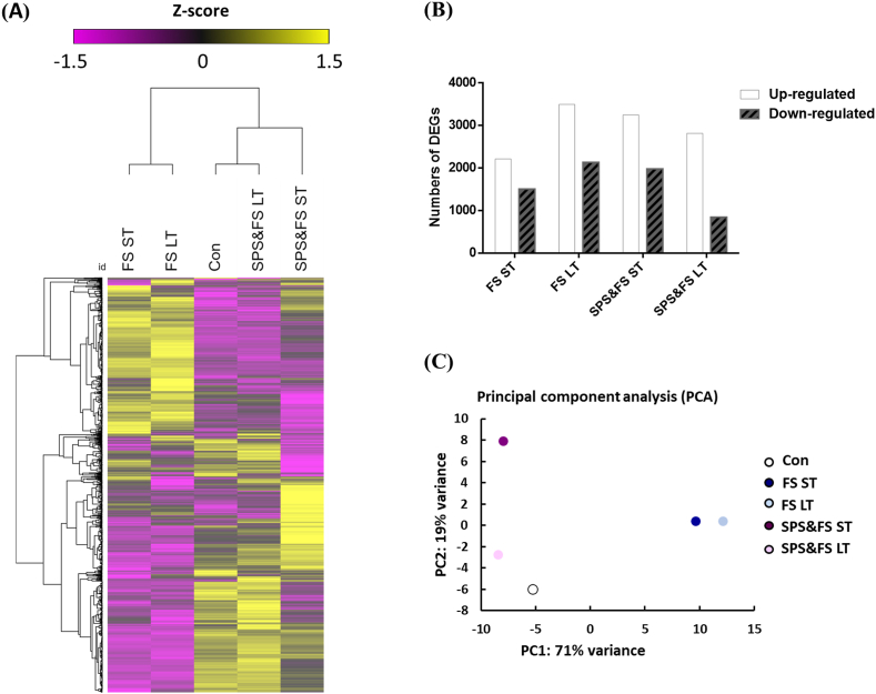 Time-course analysis of frontal gene expression profiles in the rat model of posttraumatic stress disorder and a comparison with the conditioned fear model