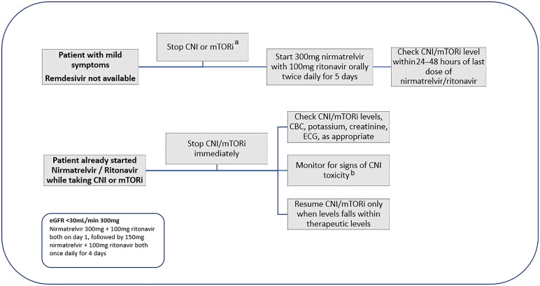 Coronavirus Disease 2019 Management Strategies in Solid Organ Transplant Recipients