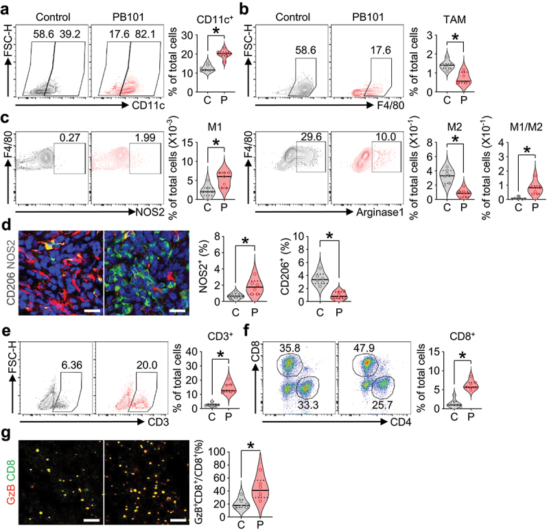 PB101, a VEGF- and PlGF-targeting decoy protein, enhances antitumor immunity and suppresses tumor progression and metastasis.