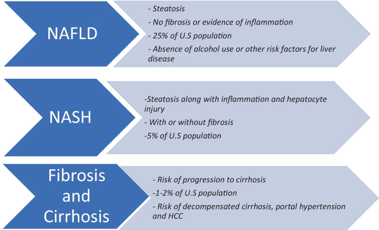 Fatty Liver Disease and Food Insecurity: Excess in Scarcity.