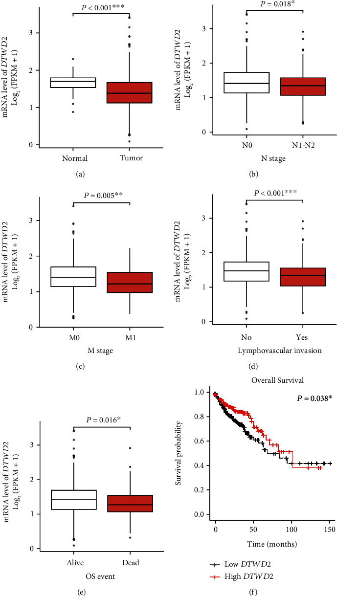 tRNA-Uridine Aminocarboxypropyltransferase DTW Domain Containing 2 Suppresses Colon Adenocarcinoma Progression.