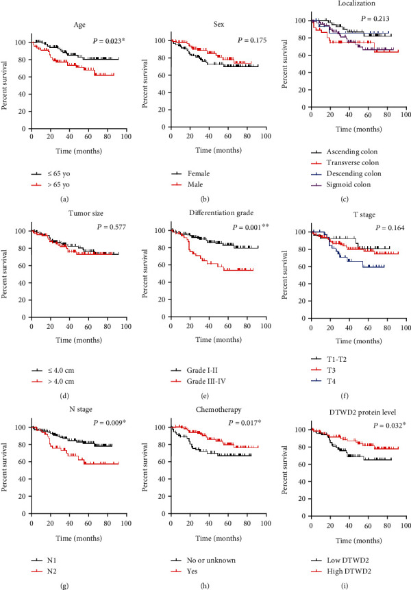 tRNA-Uridine Aminocarboxypropyltransferase DTW Domain Containing 2 Suppresses Colon Adenocarcinoma Progression.