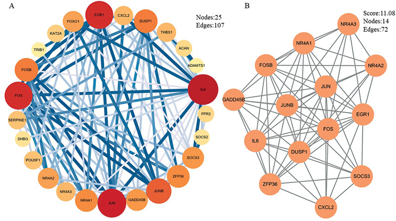 Shared Genes and Molecular Mechanisms between Nonalcoholic Fatty Liver Disease and Hepatocellular Carcinoma Established by WGCNA Analysis.