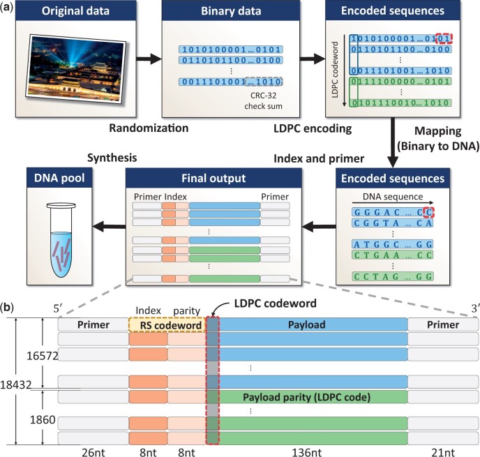 Reducing cost in DNA-based data storage by sequence analysis-aided soft information decoding of variable-length reads.