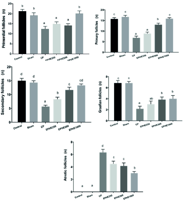 The protective effect of hydroalcoholic extract of <i>Ephedra pachyclada</i> leaves on ovarian damage induced by cyclophosphamide in rat: An experimental study.