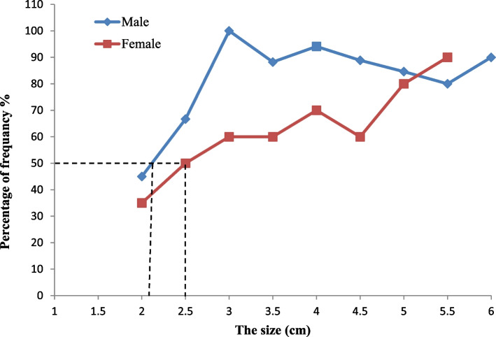 The gametogenic cycle and spawning of the short-necked clam, Paphia undulata Born, 1778 (Bivalvia: Veneridae) from Timsah Lake, Suez Canal, Egypt.