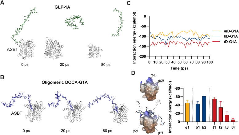 Design of chimeric GLP-1A using oligomeric bile acids to utilize transporter-mediated endocytosis for oral delivery.