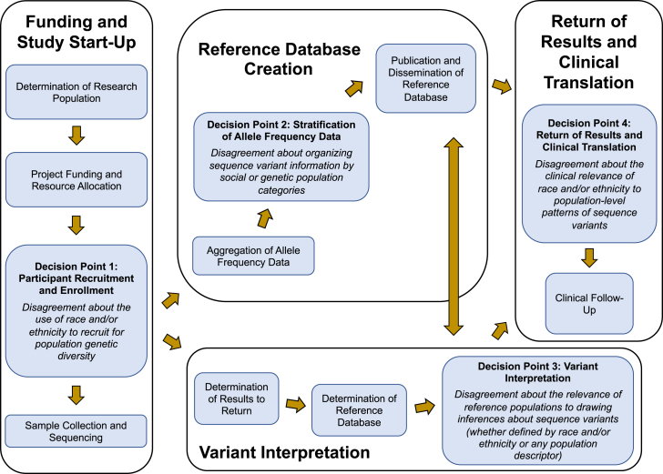 Conflating race and ancestry: Tracing decision points about population descriptors over the precision medicine research life course.