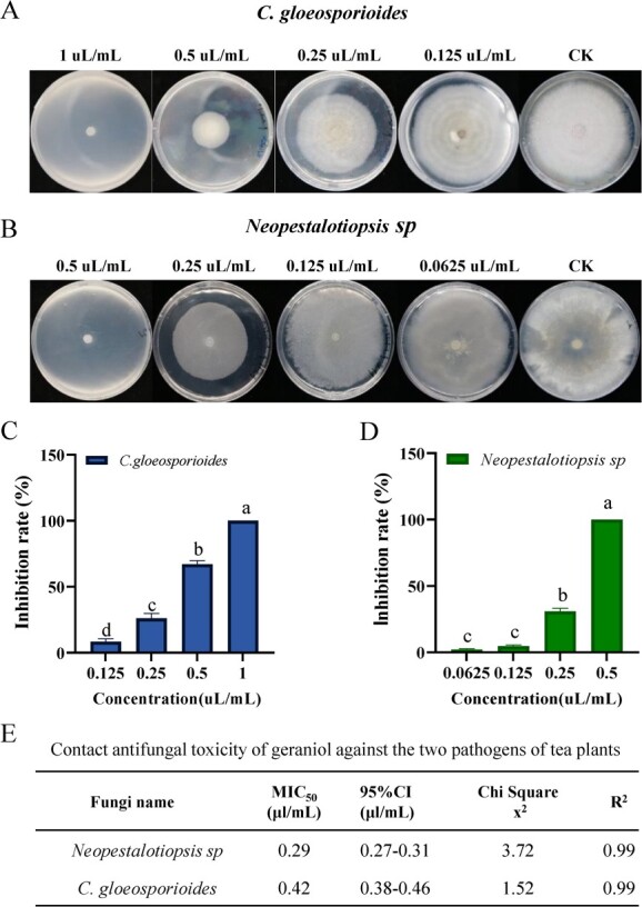 A geraniol synthase regulates plant defense via alternative splicing in tea plants.