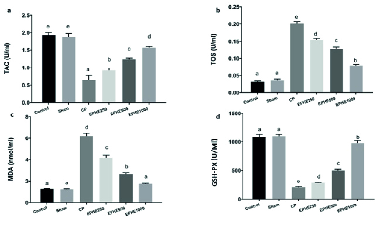 The protective effect of hydroalcoholic extract of <i>Ephedra pachyclada</i> leaves on ovarian damage induced by cyclophosphamide in rat: An experimental study.