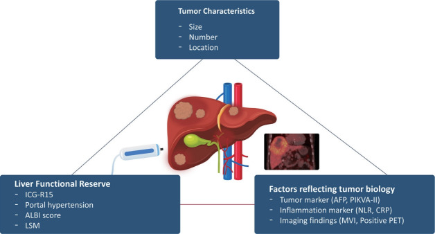 Management of early-stage hepatocellular carcinoma: challenges and strategies for optimal outcomes.