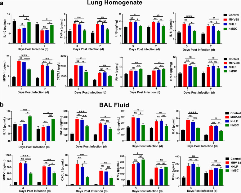 hMSCs treatment attenuates murine herpesvirus-68 (MHV-68) pneumonia through altering innate immune response via ROS/NLRP3 signaling pathway.