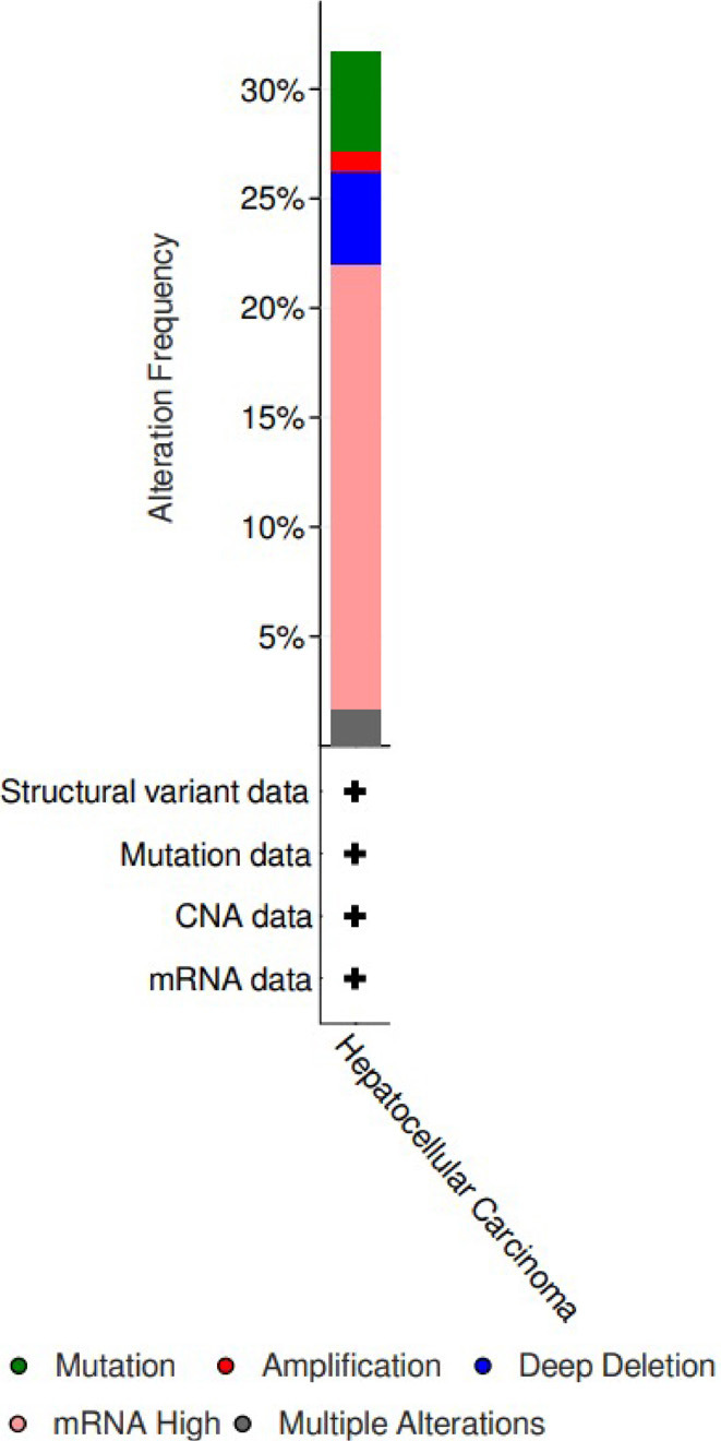 Bioinformatic analysis of genetic changes CLOCK, BMAL1, CRY1, CRY2, PER1, PER2, PER3, and NPAS2 proteins in HCC patients.